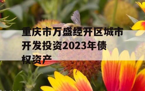 重庆市万盛经开区城市开发投资2023年债权资产