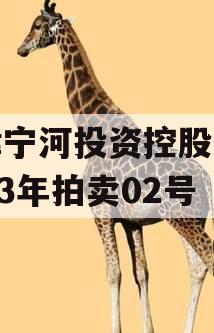 天津宁河投资控股债权2023年拍卖02号