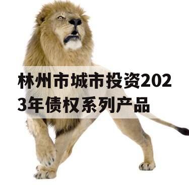 林州市城市投资2023年债权系列产品