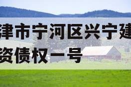 天津市宁河区兴宁建设投资债权一号