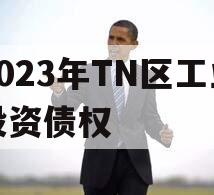 2023年TN区工业投资债权