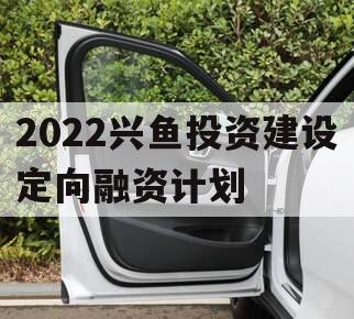 2022兴鱼投资建设定向融资计划