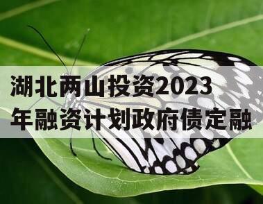 湖北两山投资2023年融资计划政府债定融