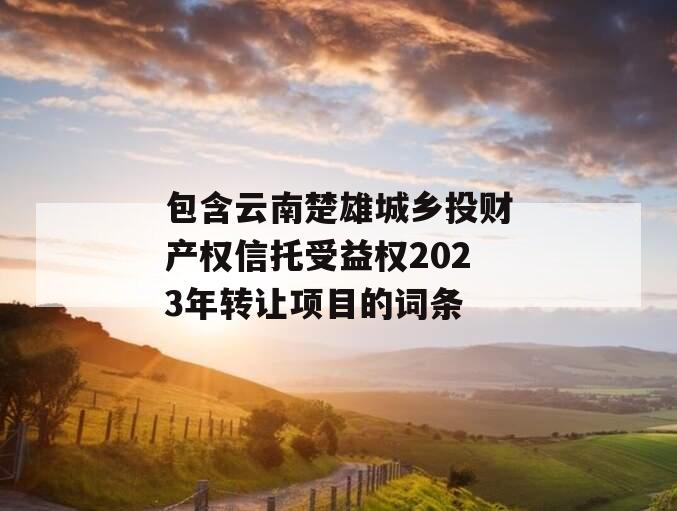 包含云南楚雄城乡投财产权信托受益权2023年转让项目的词条