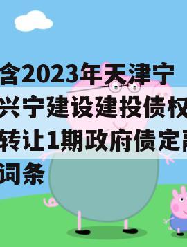 包含2023年天津宁河兴宁建设建投债权资产转让1期政府债定融的词条