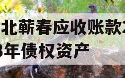 湖北蕲春应收账款2023年债权资产