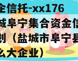 央企信托-xx176盐城阜宁集合资金信托计划（盐城市阜宁县有什么大企业）