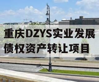 重庆DZYS实业发展债权资产转让项目