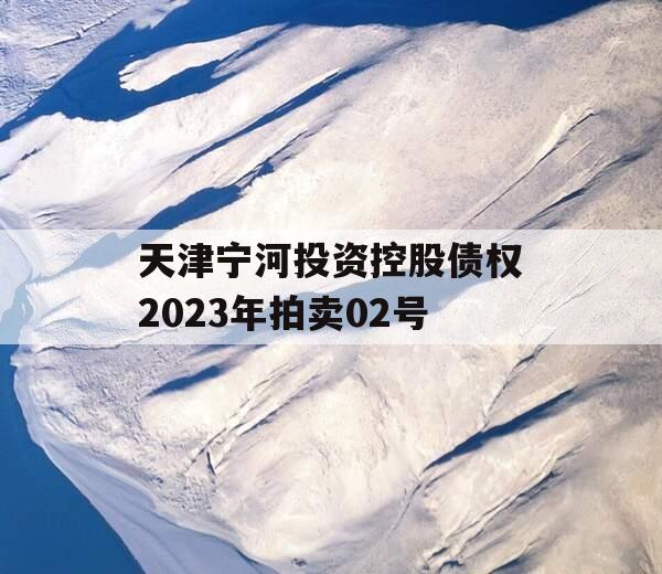 天津宁河投资控股债权2023年拍卖02号