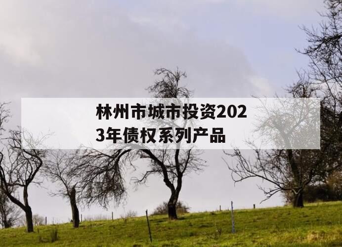 林州市城市投资2023年债权系列产品