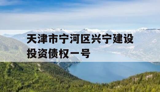 天津市宁河区兴宁建设投资债权一号