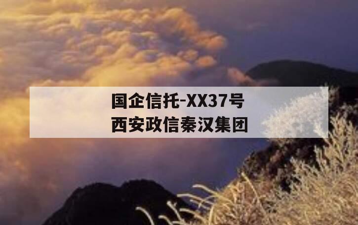 国企信托-XX37号西安政信秦汉集团