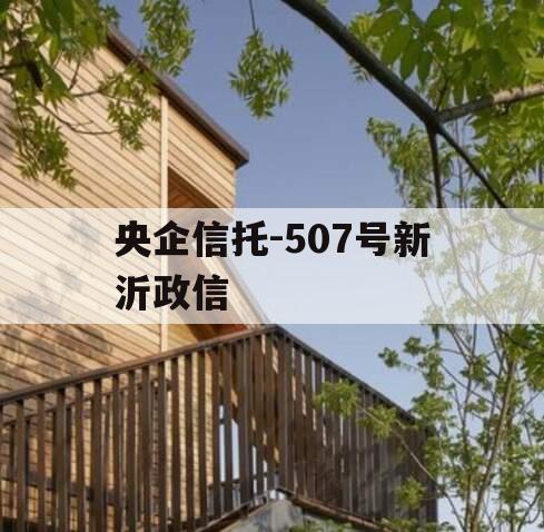 央企信托-507号新沂政信