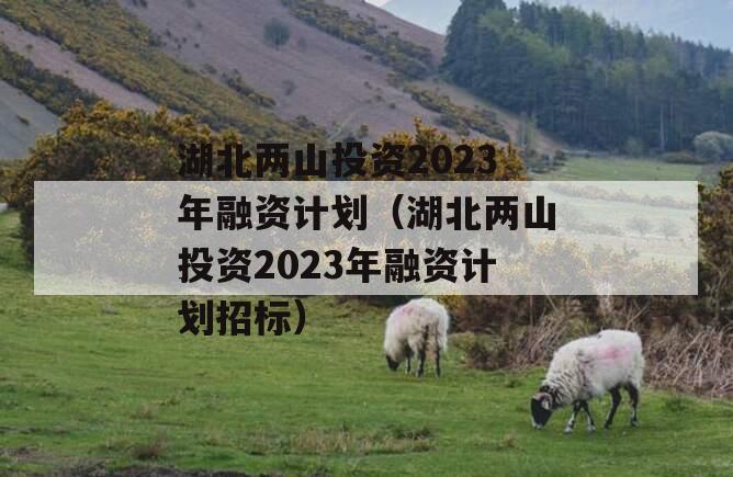 湖北两山投资2023年融资计划（湖北两山投资2023年融资计划招标）