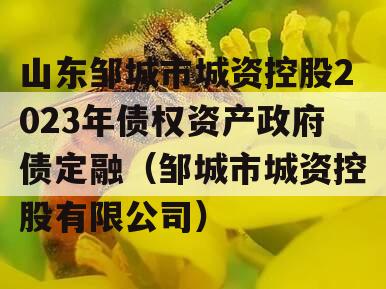 山东邹城市城资控股2023年债权资产政府债定融（邹城市城资控股有限公司）