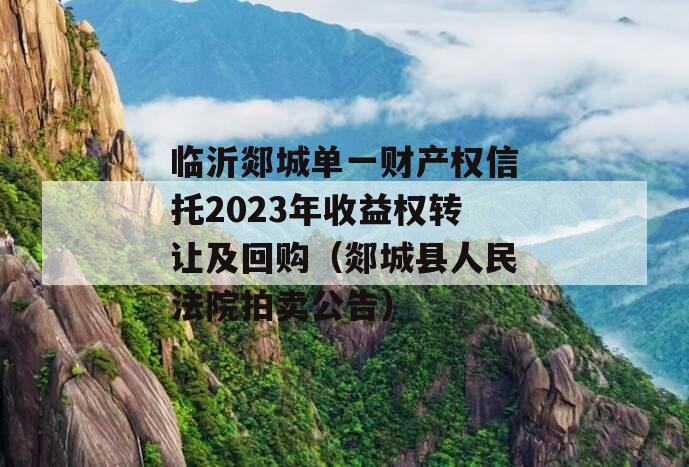 临沂郯城单一财产权信托2023年收益权转让及回购（郯城县人民法院拍卖公告）