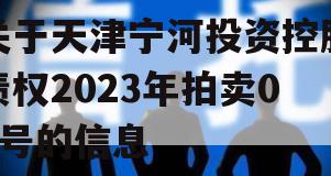 关于天津宁河投资控股债权2023年拍卖02号的信息