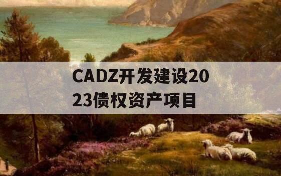 CADZ开发建设2023债权资产项目