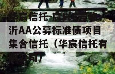 华宸信托-宸兴6号临沂AA公募标准债项目集合信托（华宸信托有限公司）