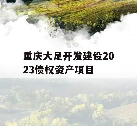 重庆大足开发建设2023债权资产项目