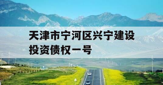 天津市宁河区兴宁建设投资债权一号