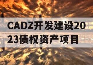 CADZ开发建设2023债权资产项目