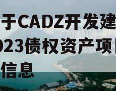 关于CADZ开发建设2023债权资产项目的信息