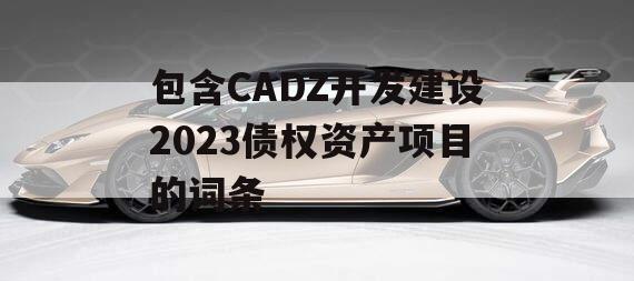 包含CADZ开发建设2023债权资产项目的词条