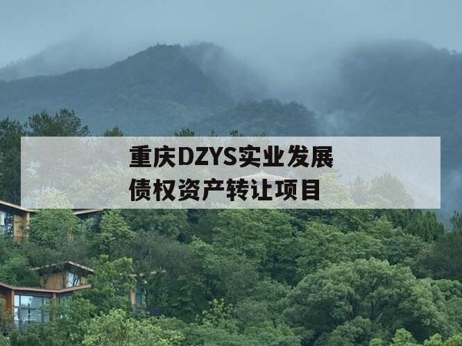 重庆DZYS实业发展债权资产转让项目