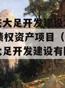 重庆大足开发建设2023债权资产项目（重庆大足开发建设有限公司）