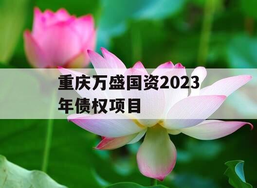 重庆万盛国资2023年债权项目