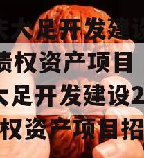 重庆大足开发建设2023债权资产项目（重庆大足开发建设2023债权资产项目招标）