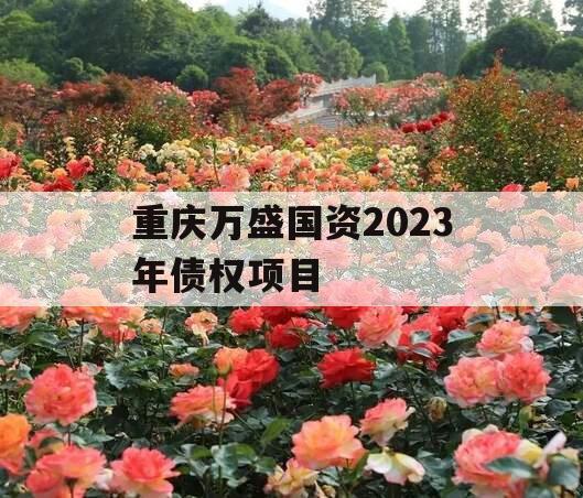 重庆万盛国资2023年债权项目