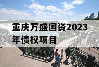 重庆万盛国资2023年债权项目