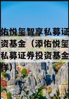 添佑悦玺智享私募证券投资基金（添佑悦玺智享私募证券投资基金怎么样）