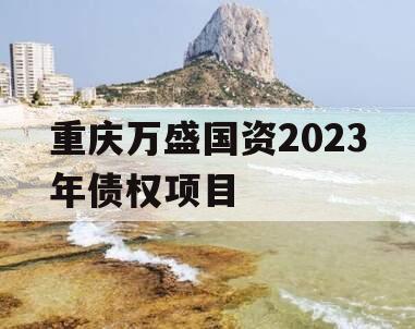 重庆万盛国资2023年债权项目