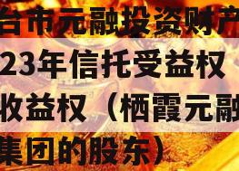 烟台市元融投资财产权2023年信托受益权之收益权（栖霞元融投资集团的股东）