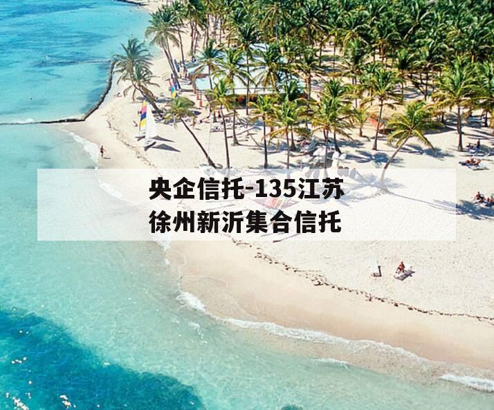 央企信托-135江苏徐州新沂集合信托