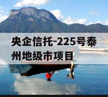 央企信托-225号泰州地级市项目