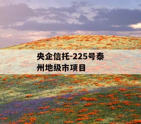 央企信托-225号泰州地级市项目