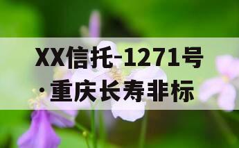 XX信托-1271号·重庆长寿非标