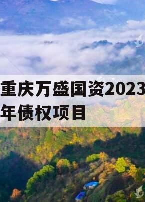 重庆万盛国资2023年债权项目