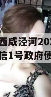 西安西咸泾河2023年政信1号政府债定融