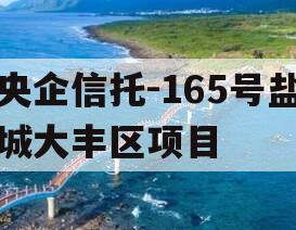 央企信托-165号盐城大丰区项目