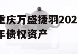 重庆万盛捷羽2023年债权资产