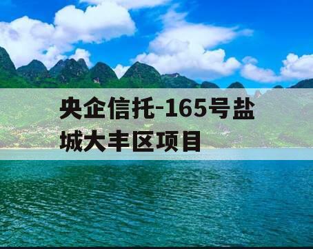 央企信托-165号盐城大丰区项目