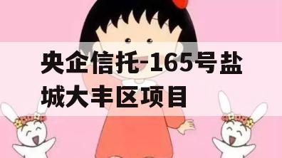 央企信托-165号盐城大丰区项目