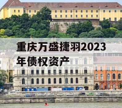 重庆万盛捷羽2023年债权资产