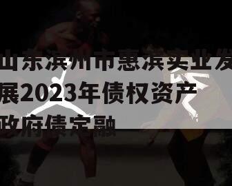 山东滨州市惠滨实业发展2023年债权资产政府债定融