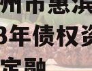 山东滨州市惠滨实业发展2023年债权资产政府债定融